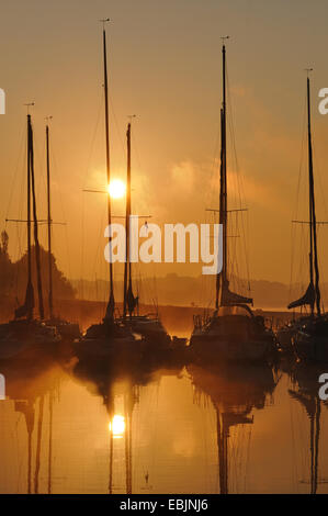 Bateaux à voile dans la brume du matin au lever du soleil, Allemagne Banque D'Images