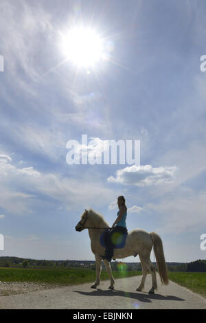Islandic Horse, cheval islandais, Islande pony (Equus przewalskii f. caballus), jeune fille à cheval à travers une forêt et prairie paysage sur un poney, Allemagne, Bavière, Oberpfalz Banque D'Images