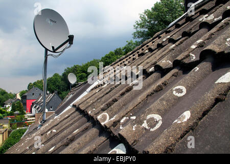 Une antenne parabolique sur le toit avec des tuiles anciennes lichened, Allemagne, Nordrhein Westfalen, Ruhr, Essen Banque D'Images