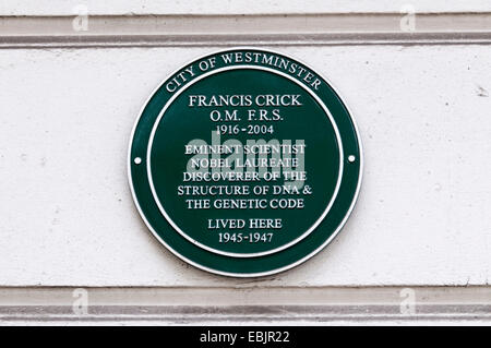 Une plaque verte sur la propriété occupée par Francis Crick, découvreur de la structure de l'ADN, à St George's Square, Westminster Banque D'Images
