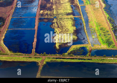 Vue de l'extraction de tourbe domaine de Teufelsmoor tourbière, ALLEMAGNE, Basse-Saxe, Osterholz-Scharmbeck Banque D'Images