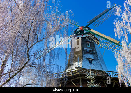 Moulin à vent de Hinte en hiver, l'ALLEMAGNE, Basse-Saxe, Frise Orientale, Hinte Banque D'Images
