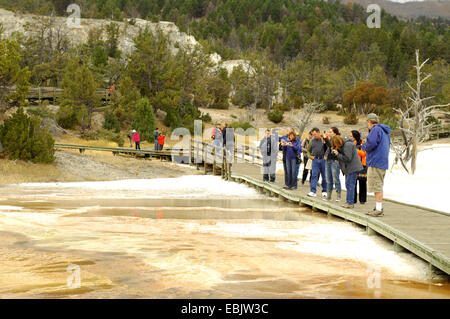 Les touristes sur une passerelle qui photos de hot springs dans le parc national de Yellowstone, Wyoming, USA, le Parc National de Yellowstone Banque D'Images