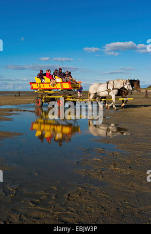 Wadden typiques calèches dans la mer de Wadden revenant de Neuwerk, ALLEMAGNE, Basse-Saxe, Sahlenburg Banque D'Images