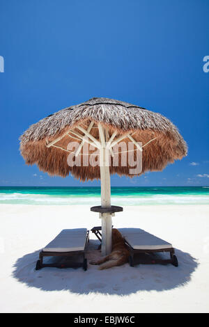 Chaises en toile et un parasol sur une plage tropicale, du Mexique, Tulum Banque D'Images