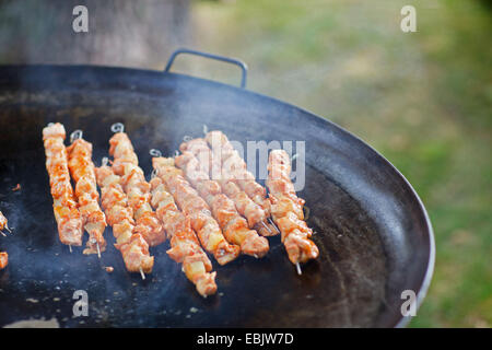 Brochettes de délicieuses grillées sur pan Banque D'Images