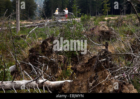 Deux personnes à la tempête Kyrill en pertes au chemin, en Allemagne, en Rhénanie du Nord-Westphalie, Rhénanie-Palatinat, Schmallenberg Banque D'Images