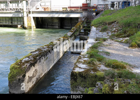 De l'échelle à poissons pour l'adoption d'une centrale hydroélectrique, Allemagne, Bavière, Inn, Teufelsbruck Banque D'Images