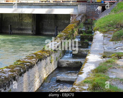 De l'échelle à poissons pour l'adoption d'une centrale hydroélectrique, Allemagne, Bavière, Inn, Teufelsbruck Banque D'Images