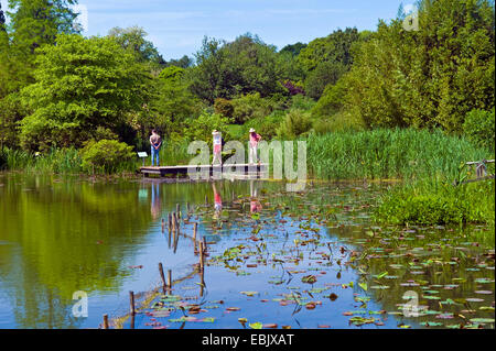 Les visiteurs sur la passerelle à un étang en Arboretum Ellerhoop, Allemagne, Schleswig-Holstein, Ellerhoop Banque D'Images