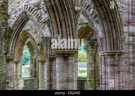 Arcades et colonnes de l'abbaye de Tintern, première fondation de l'église cistercienne au Pays de Galles, datant de l'an 1131 Banque D'Images