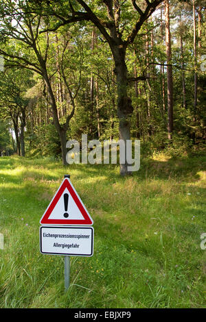 Chenille processionnaire du chêne (Thaumetopoea processionea), connectez-vous à la lisière de la forêt un avertissement contre les allergies causées par les papillons ayant infesté la forêt, Allemagne Banque D'Images