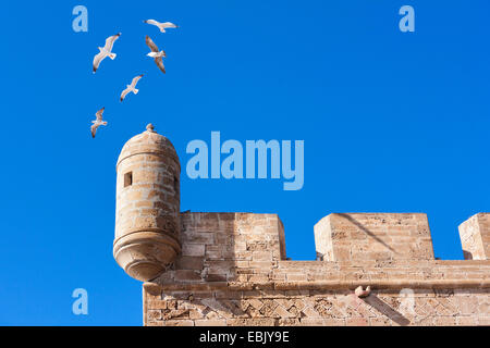 Coin de la tour, le Maroc, Essaouira Banque D'Images