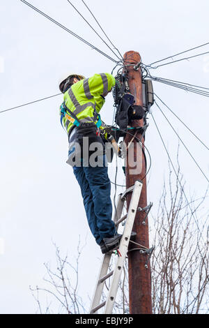 Téléphone à large bande et les réparations. BT Openreach ingénieur au haut d'un poteau télégraphique la réparation de la ligne téléphonique, Lancashire, England, UK Banque D'Images