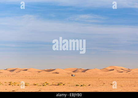 Caravan dans paysage de désert, Maroc, Marrakech-tensift-DaraÔ Banque D'Images