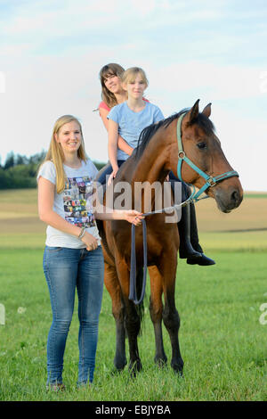 Chevaux hanovriens, warmblood allemand (Equus przewalskii f. caballus), trois jeunes filles à cheval dans un pré, Allemagne Banque D'Images