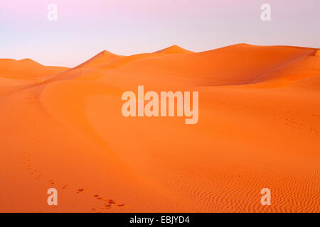 Dunes de sable dans le Sahara, le Maroc, Marrakech-tensift-DaraÔ, Erg Chegaga Banque D'Images
