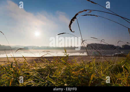 Spider web au bord du lac de lac de stockage Poehl au lever du soleil, de l'Allemagne, la Saxe, Vogtland, Jocketa Banque D'Images