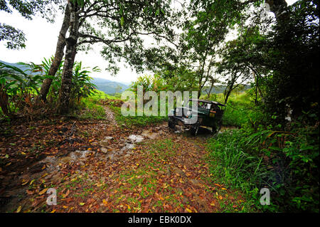 Jeep de la conduite dans la forêt tropicale, le Sri Lanka, Sinharaja Forest National Park Banque D'Images