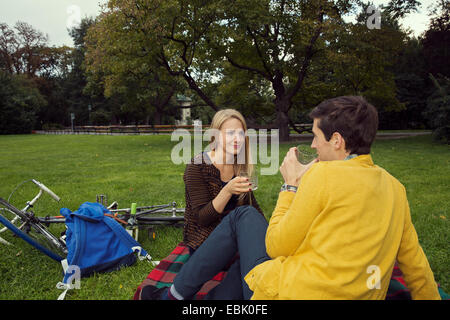 Jeune couple drinking wine on picnic blanket in park Banque D'Images