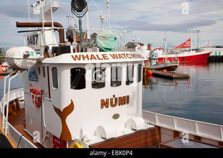 Bateau pour l'observation des baleines et des excursions d'oiseaux de mer dans le port, l'Islande, Reykjavik Banque D'Images