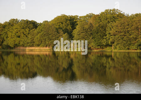 Linstower, Allemagne, Linstow Banque D'Images