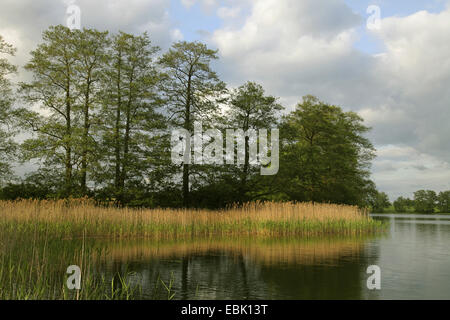 Linstower, Allemagne, Linstow Banque D'Images