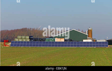 Des panneaux solaires à la basse-cour, aux Pays-Bas, en Frise orientale, de de iisfûgel Banque D'Images