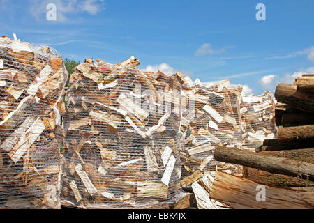 Travail du bois, la zone de stockage de sacs de bois de chauffage, Allemagne Banque D'Images