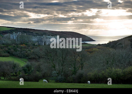 Le pâturage des chèvres au-dessus du château de Manorbier sur la côte de Pembrokeshire, Pays de Galles, Royaume-Uni Banque D'Images