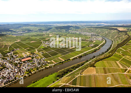 Vue aérienne de Moselle près de Traben-trarbach, Allemagne, Rhénanie-Palatinat, Moselle, Traben-trarbach Banque D'Images