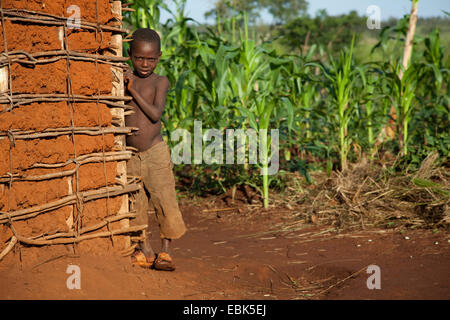 Petit garçon sur le site de derrière le coin d'une humble maison de terre en face d'un champ de maïs, au Burundi, à proximité de Parc National de la Ruvubu, Cankuzo Banque D'Images