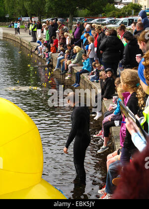 La course de canards en caoutchouc charité River Teith Callander Ecosse Banque D'Images