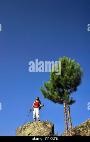 Pin d'Alep (pinus halepensis), femme wanderer debout sur un rocher et profiter de la vue, en France, Corse, Pietra Piana Banque D'Images