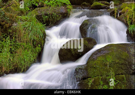 Cascades de Triberg, Allemagne, Bade-Wurtemberg, Forêt-Noire Banque D'Images