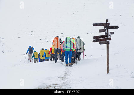 Compagnie itinérante dans la neige randonnées à Wolkenstein, Italie, Dolomites Tyrol du Sud, Banque D'Images