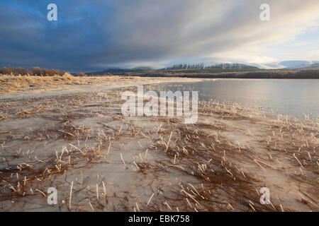 Vue sur le Loch Insh partiellement gelés, Royaume-Uni, Ecosse, le Parc National de Cairngorms Banque D'Images