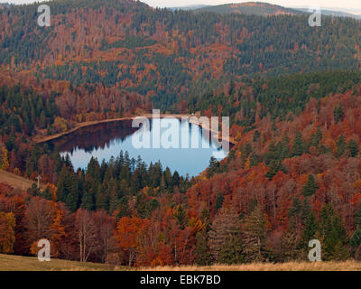 Lac en forêt d'automne des Vosges, France, Alsace, Vosges Banque D'Images