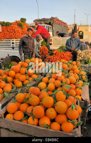 Les oranges et les carottes sur le marché, Maroc, Inezgane Banque D'Images