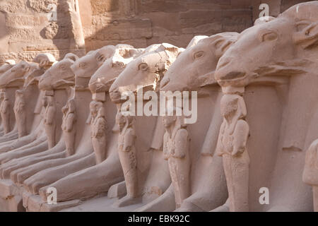 Alley avec sphinx avec ram têtes en face de l'enceinte d'Amon-Rê, Egypte, Karnak, Louxor Banque D'Images