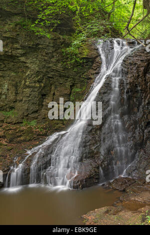 Hareshaw Linn chute près de Bellingham, Northumberland, England Banque D'Images