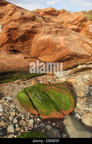 Rochers de la côte de la Nouvelle-Écosse, au Canada, en Nouvelle-Écosse Banque D'Images