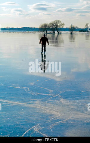 L'homme du patin à glace en prairies glacées à fleuve Wuemme à Bremen-Borgfeld, Allemagne, Bremen Banque D'Images