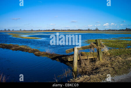 De Teufelsmoor, prairies inondées, Basse-Saxe, Allemagne Osterholz, Worpswede Banque D'Images