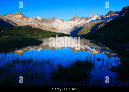 Alpes Suisses en sommer à Nyon, Oberaargletscher, Oberaarhorn, 3638 m, Finsteraarhorn, 4274m, la Suisse, l'Oberland bernois Banque D'Images