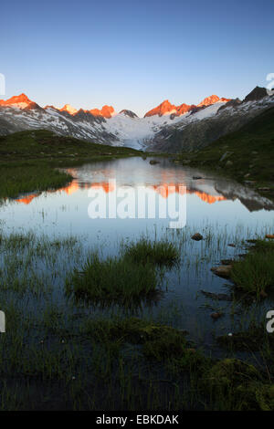 Alpes Suisses en sommer à Nyon, Oberaargletscher, Oberaarhorn, 3638 m, Finsteraarhorn, 4274m, la Suisse, l'Oberland bernois Banque D'Images