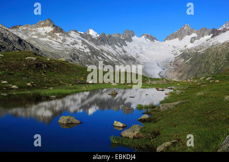 Alpes Suisses en sommer à Nyon, Oberaargletscher, Oberaarhorn, 3638 m, Finsteraarhorn, 4274m, la Suisse, l'Oberland bernois Banque D'Images