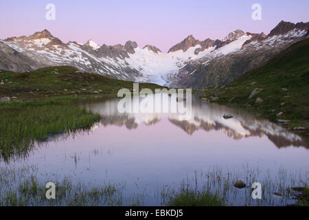 Alpes Suisses en sommer à Nyon, Oberaargletscher, Oberaarhorn, 3638 m, Finsteraarhorn, 4274m, la Suisse, l'Oberland bernois Banque D'Images