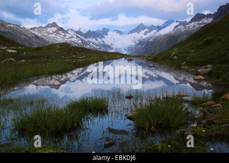 Alpes Suisses en sommer à Nyon, Oberaargletscher, Oberaarhorn, 3638 m, Finsteraarhorn, 4274m, la Suisse, l'Oberland bernois Banque D'Images