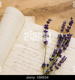 Studio shot de lavande sur l'écriture antique Banque D'Images